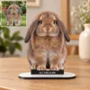 Fotoğraftan Tasarlanan Evcil Hayvan Fotoğraflı MDF Karikatürlü 18 cm MDF Masaüstü Biblo – Masaüstü Hediye 4. Model