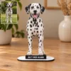 Evcil Hayvan Fotoğraflı MDF Karikatürlü Kişiye Özel Karikatürlü 18 cm MDF Masaüstü Biblo – Masaüstü Hediye 2. Model